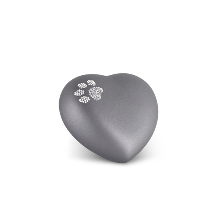 Cliquer pour agrandir l'image